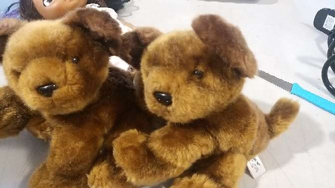 REGALO Osos de peluche