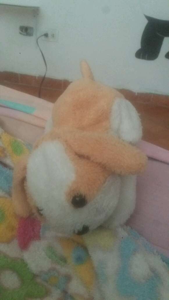REGALO peluche en buen estado 