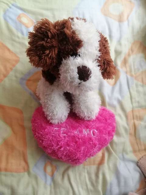 REGALO Peluches 