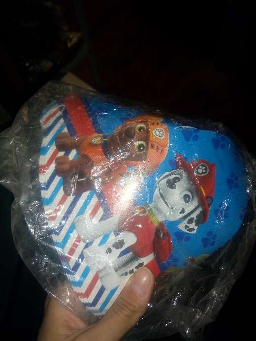 REGALO gorros de paw patrol