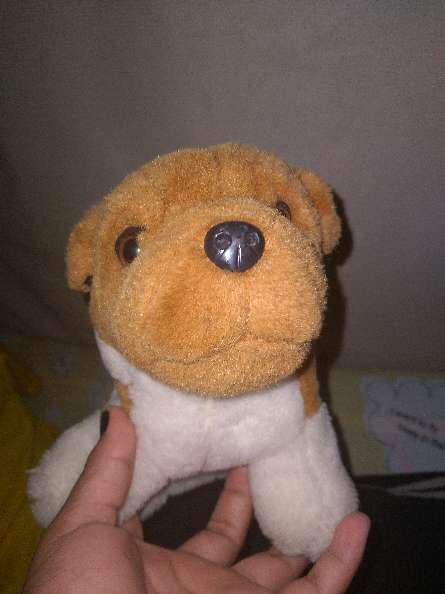 REGALO peluche 