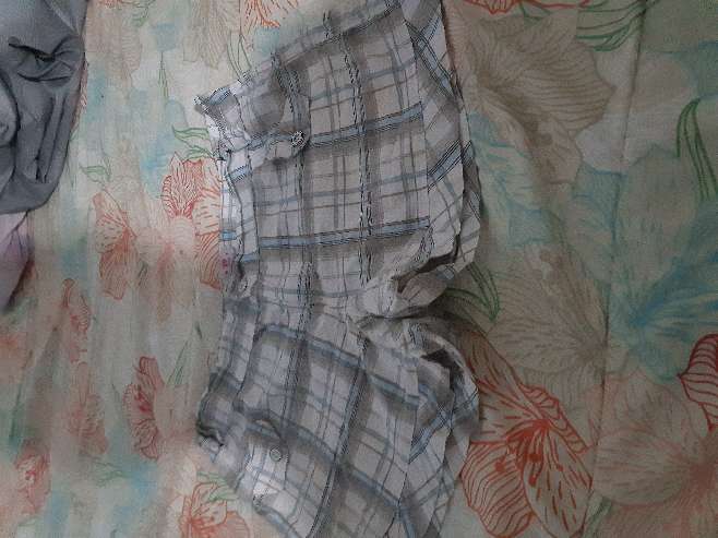 REGALO chort dama talla 12