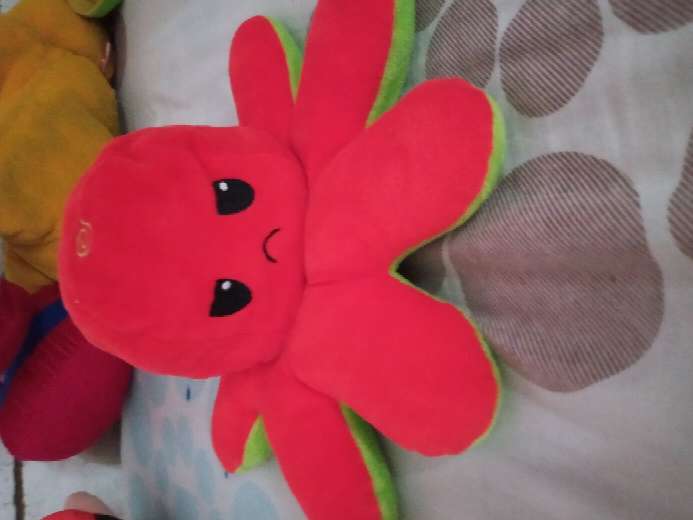 REGALO plpito 