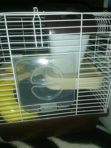 REGALO Jaula para hamster 