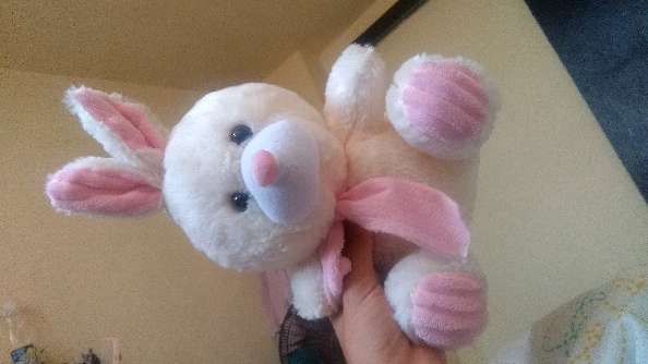 REGALO Oso de peluche