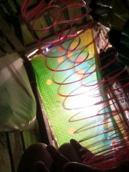 REGALO juguete de resorte 4