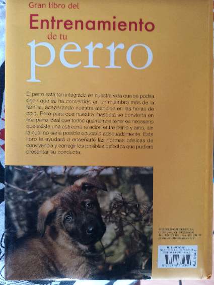 REGALO Entrenamiento de tu perro 2