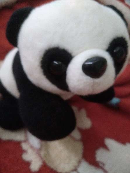 REGALO peluche panda