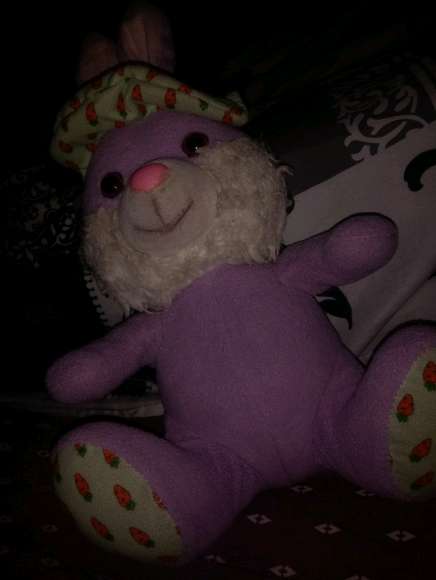 REGALO oso de peluche