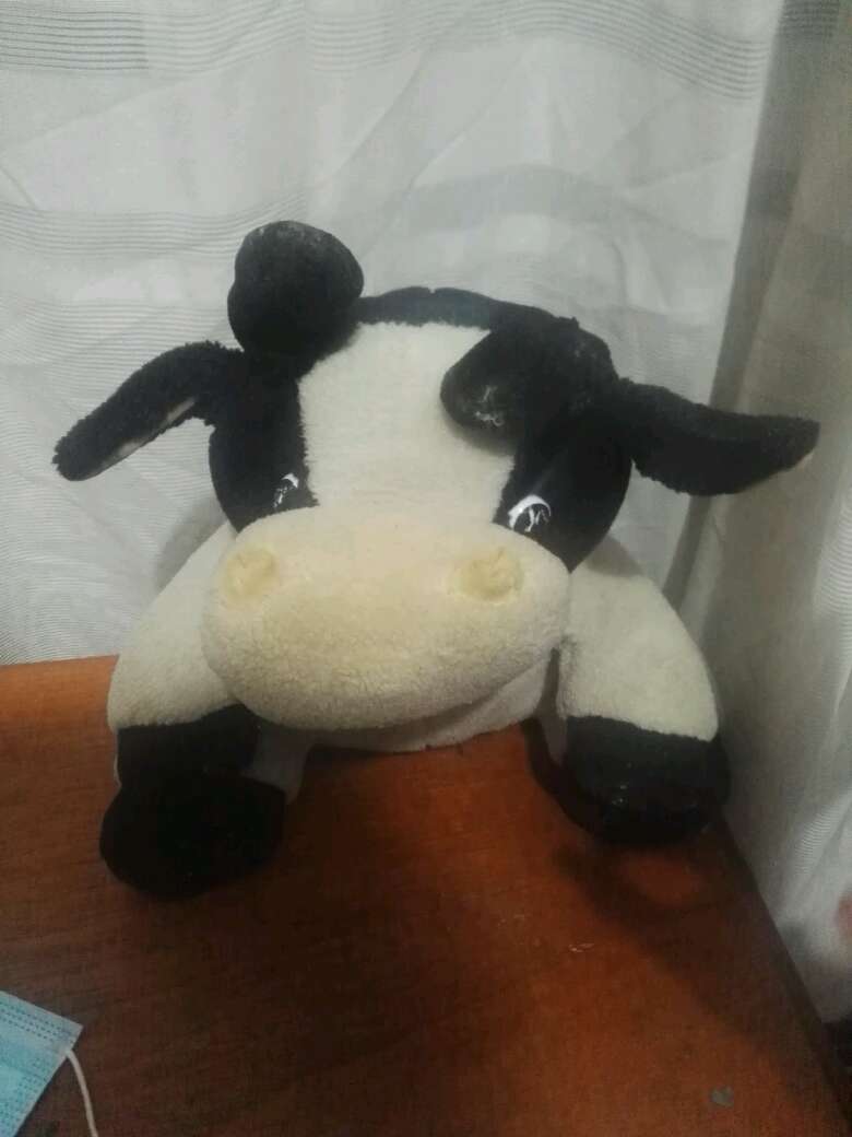 REGALO peluche