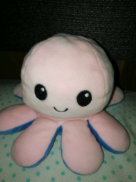 REGALO Plpito reversible 
