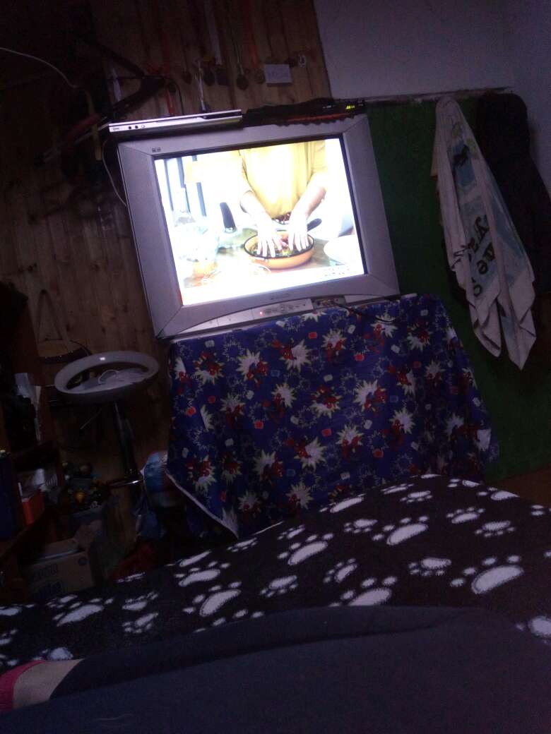 REGALO tele REGALO tele