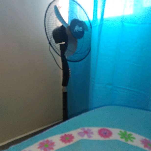 REGALO ventilador 