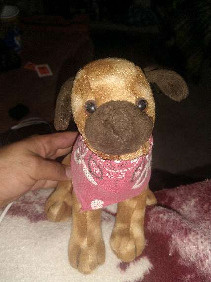 REGALO perrito de peluche