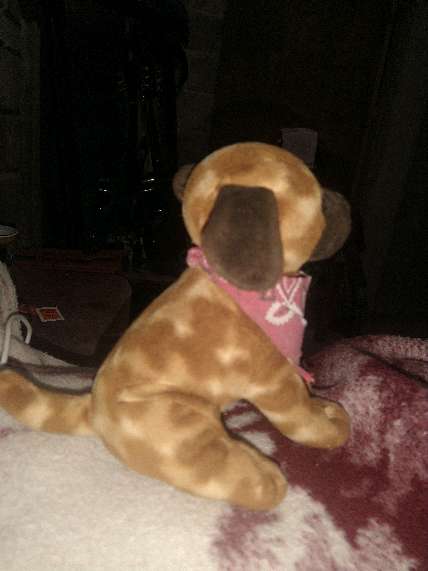 REGALO perrito de peluche 2