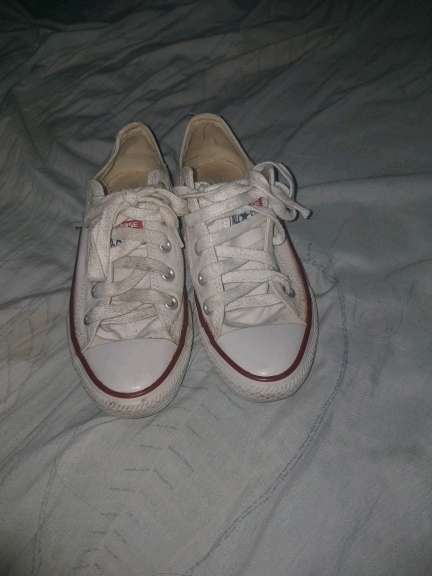 REGALO converse