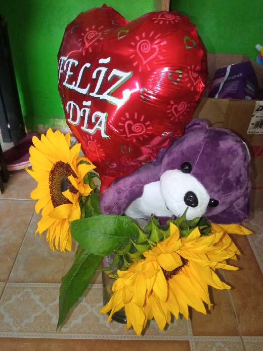 REGALO osito de peluche