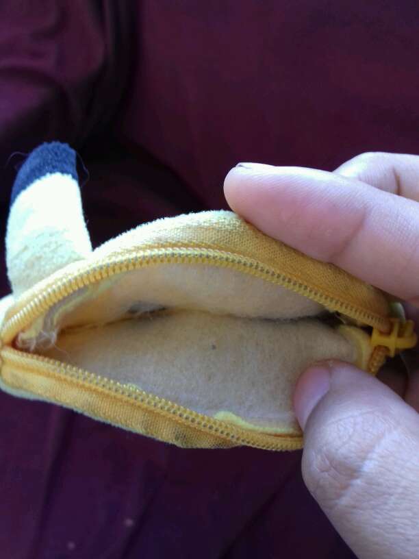 REGALO monedero de pikachu 2