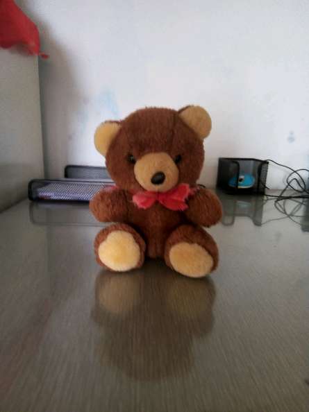 REGALO se regala peluche