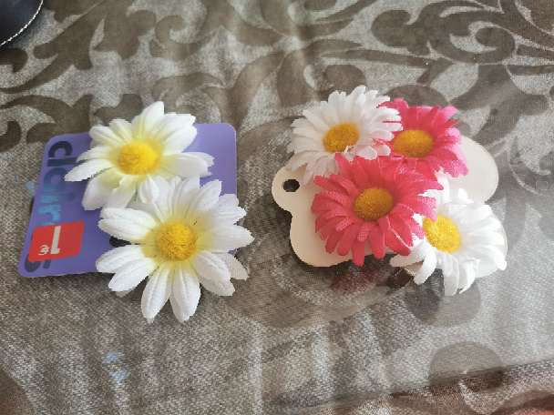 REGALO Pinzas margaritas 