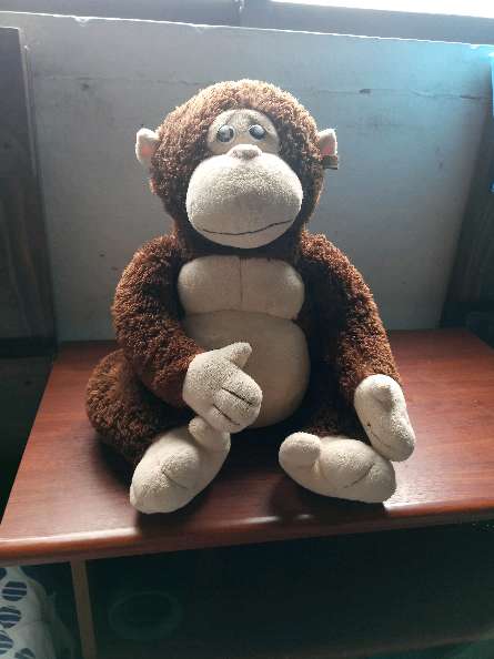 REGALO monito de peluche 