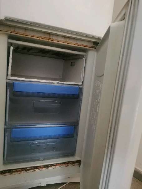 REGALO Frigorfico  3