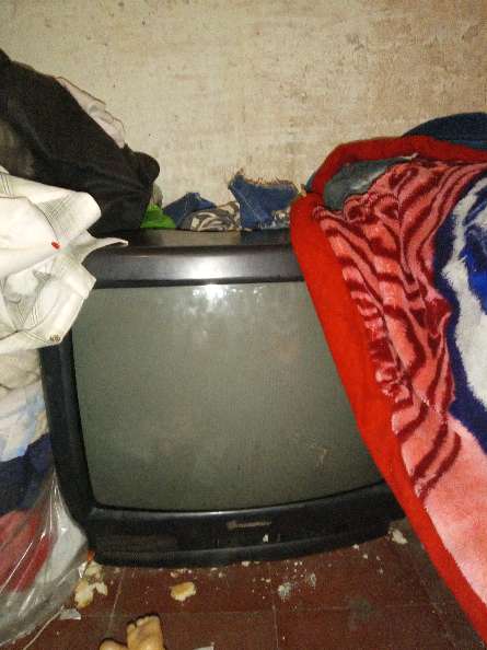 REGALO televisión REGALO televisión