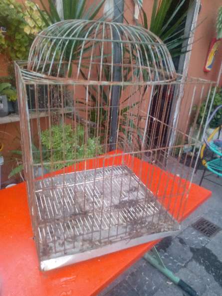 REGALO jaulon para loros  3