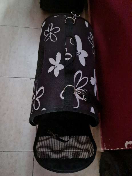 REGALO mochila para mascotas pinch o chihuahua.  2
