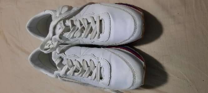 REGALO Zapatillas lefties 