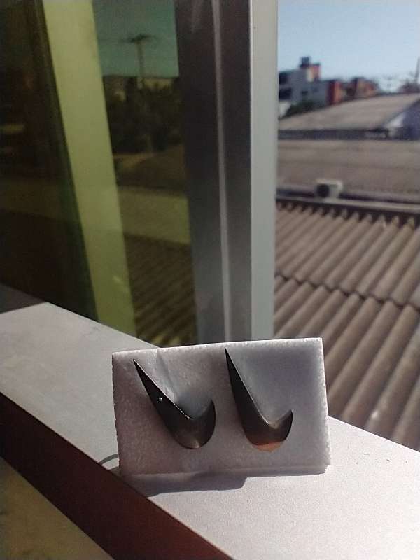 REGALO aretes nike