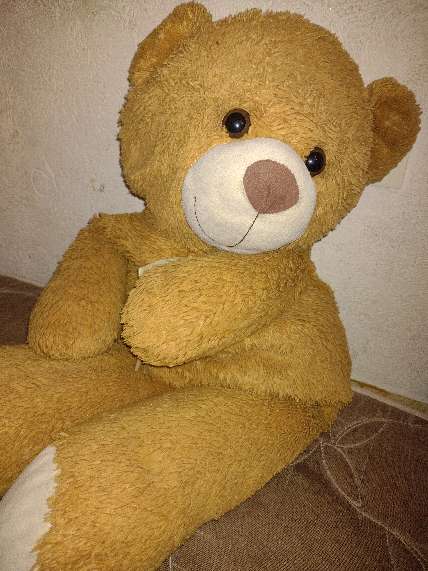 REGALO oso de peluche 