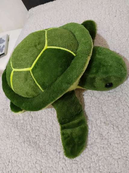 REGALO peluche tortuga