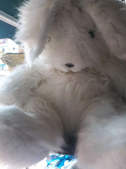 REGALO peluche conejo  2