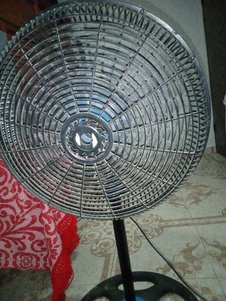 REGALO abanico REGALO abanico