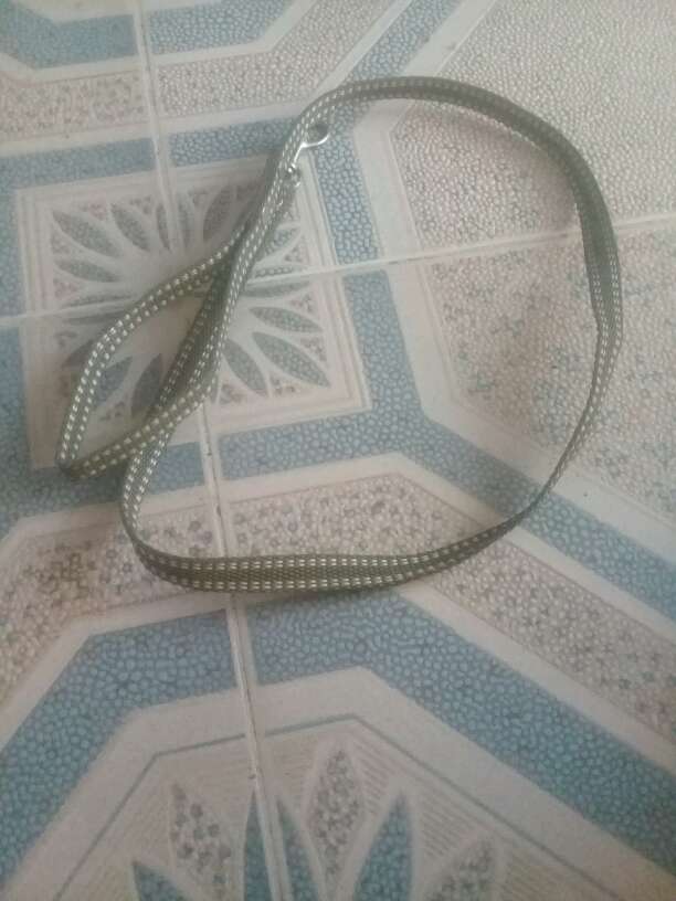 REGALO correa para mascota