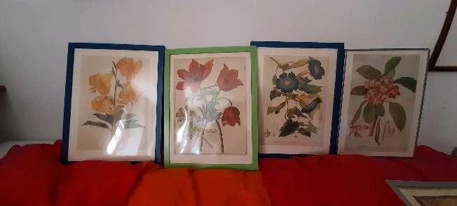 REGALO stampe con cornici 2