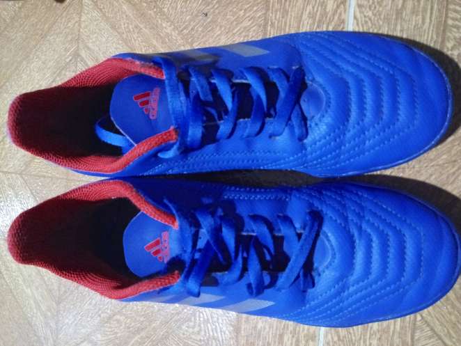 REGALO guayos predador adidas#26