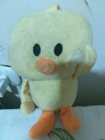 REGALO peluche de pollo