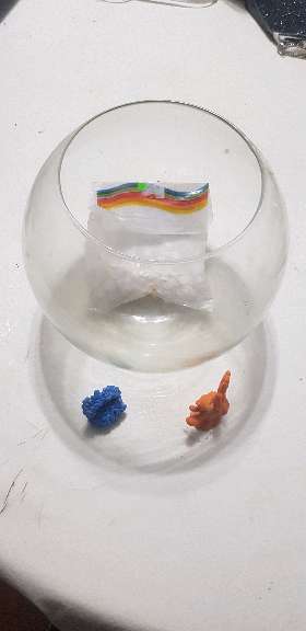 REGALO pecera circular, piedras y adornos