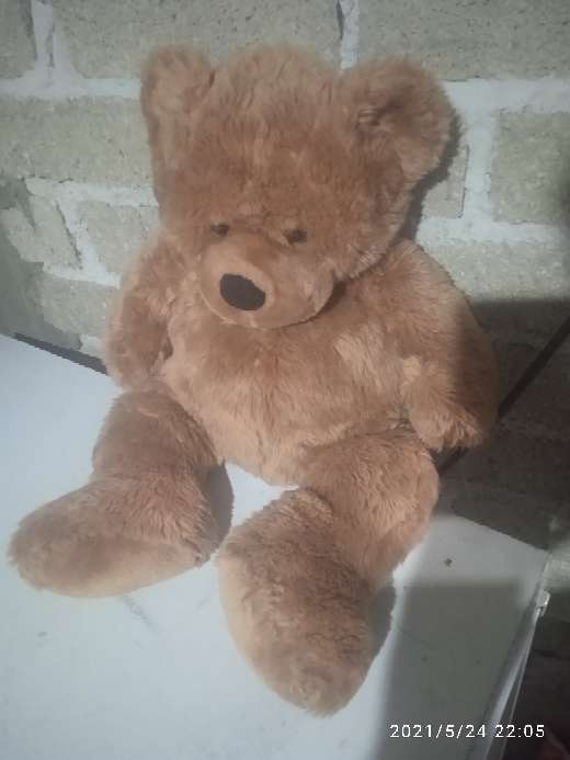 REGALO oso de peluche