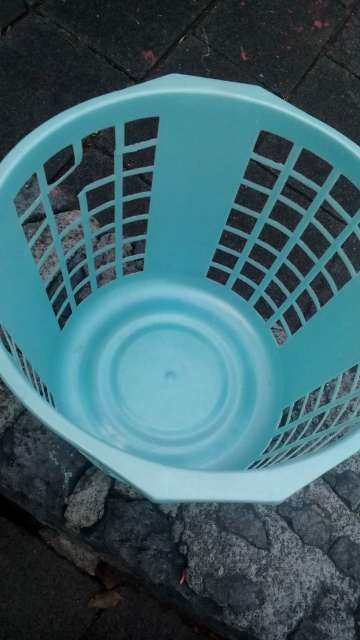 REGALO cesto 2