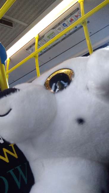 REGALO peluche de perrito 2