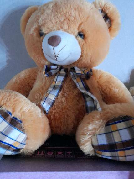 REGALO peluche musical 2