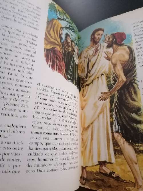 REGALO Biblia Ilustrada Juvenil  3