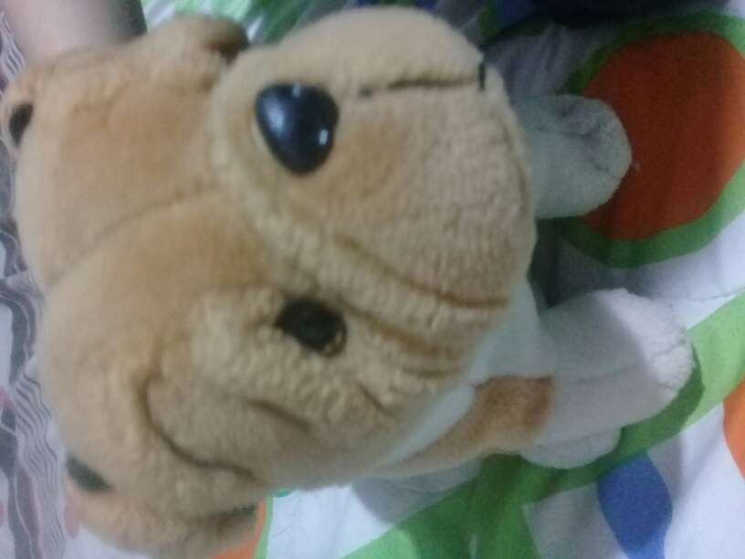 REGALO peluche