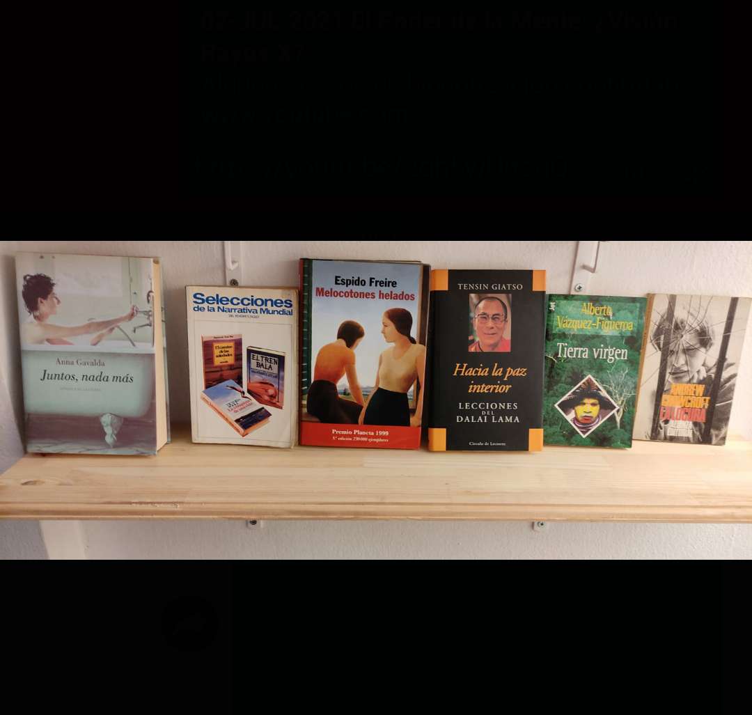 REGALO lote de libros variados 4