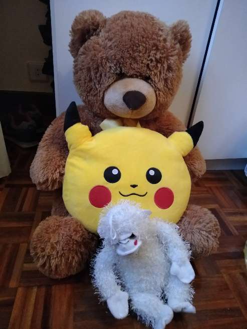 REGALO osos de peluches 1