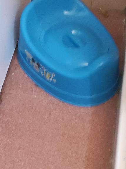 REGALO WC de nio 