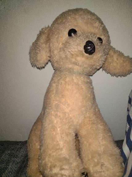 REGALO peluche 1